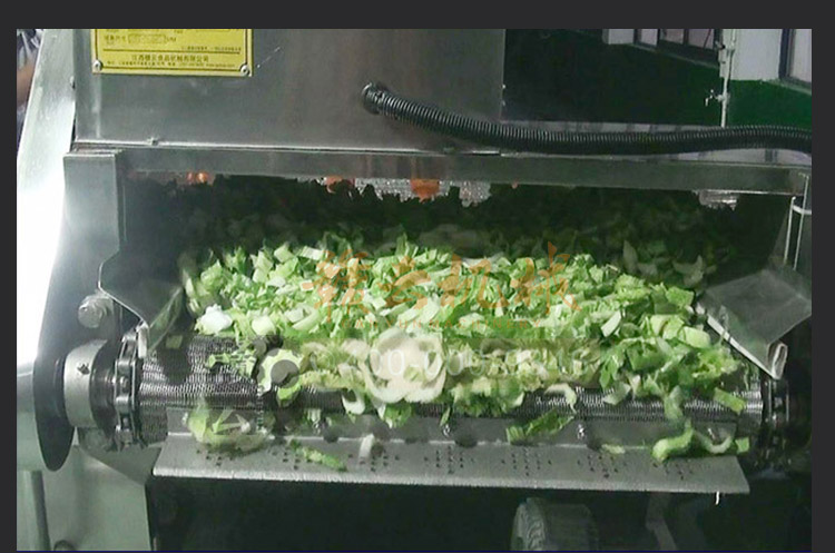 事業(yè)單位部隊學校食堂的蔬菜清洗消毒用的氣泡清洗機(圖17)