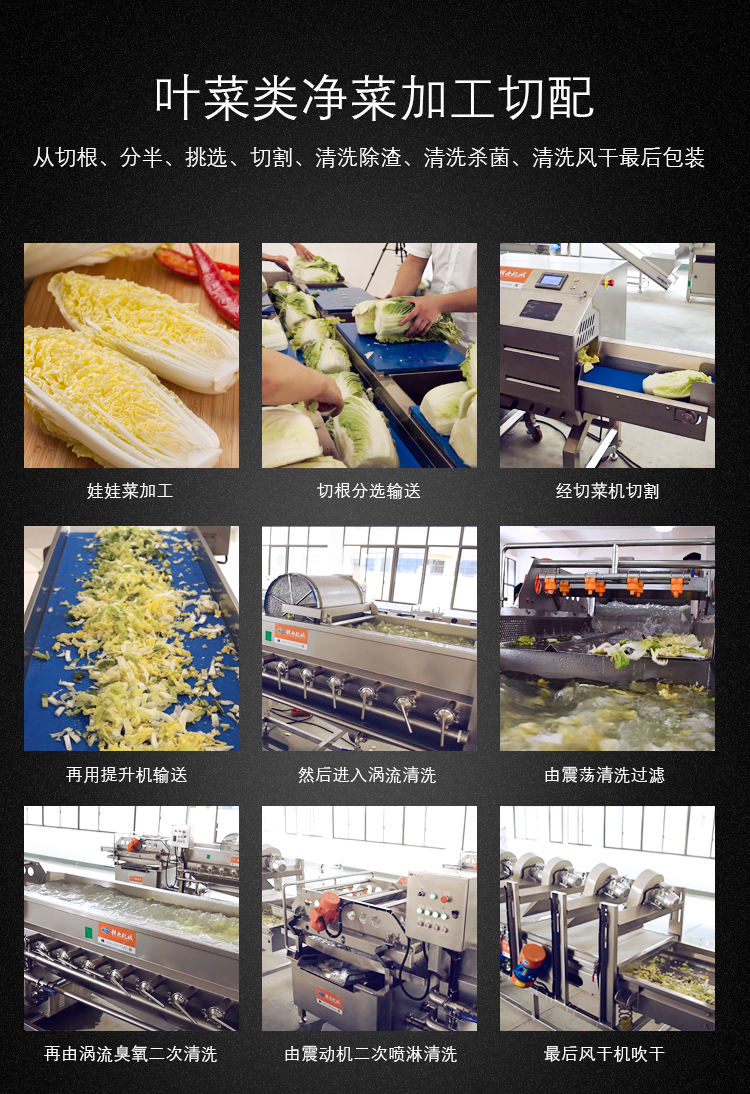 贛州中央廚房凈菜加工流水線學校營養餐配送中心蔬菜加工自動化生產線(圖4)