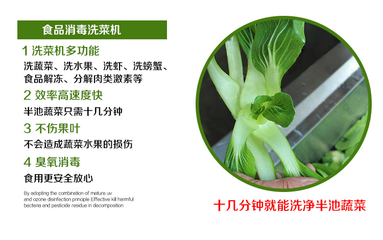 酒店食堂事業(yè)單位學校食堂用的清洗消毒洗菜機(圖6)