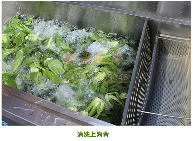 酒店食堂事業(yè)單位學校食堂用的清洗消毒洗菜機(圖19)
